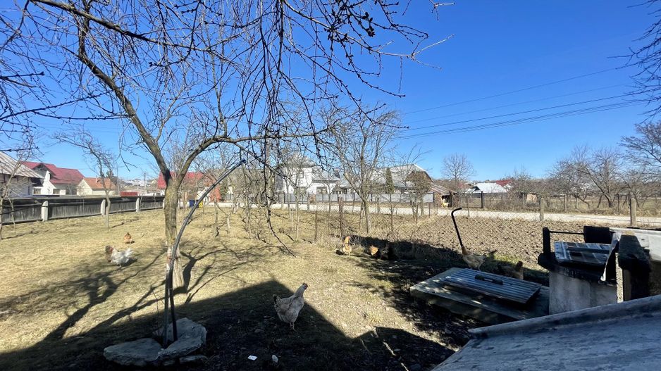 CASA RENOVATA + TEREN 3100 MP | CURTE SI GRADINA | FRATAUTII NOI - Poză 22