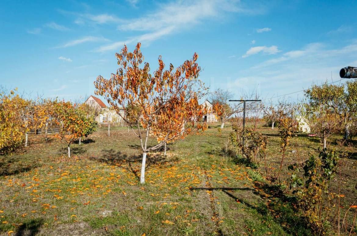 Vânzare, casă, 4 camere, loc. Maximovca, Anenii Noi - Poză 16