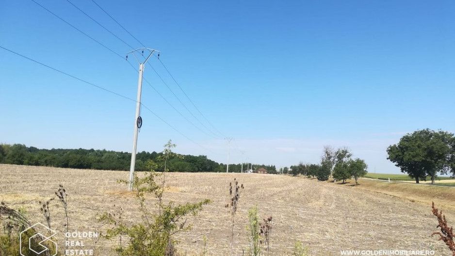 Teren intravilan, pentru constructii hale industriale, zona Pecica - Poză 4