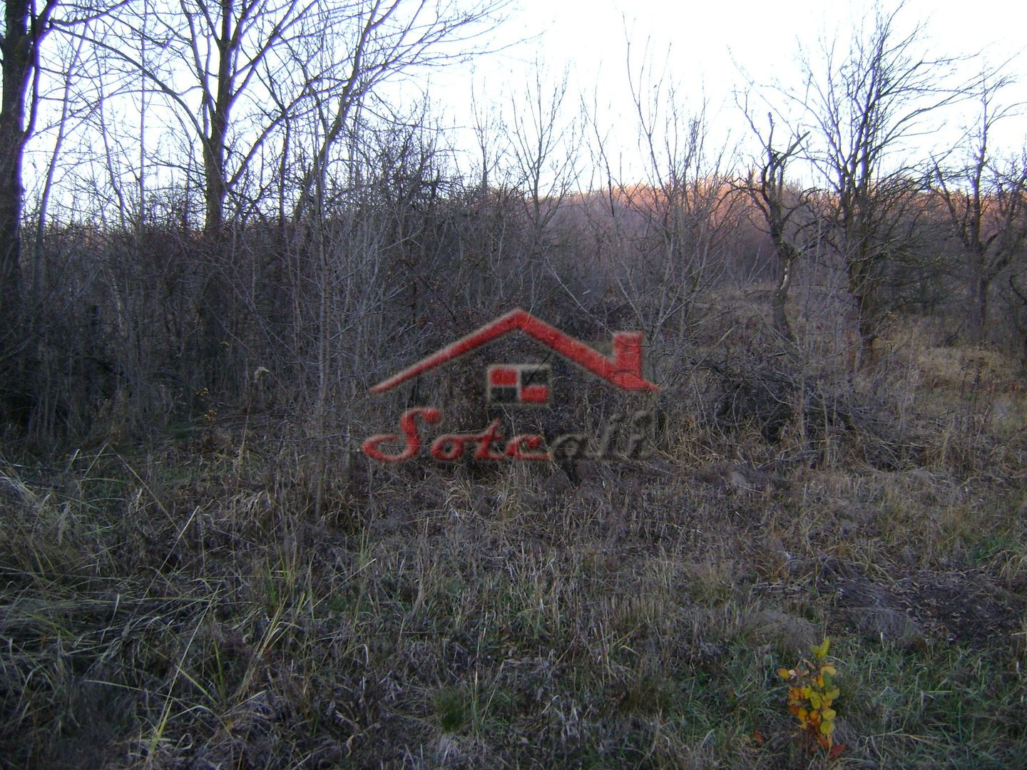 Teren de vanzare Cornu de Jos - Poză 1