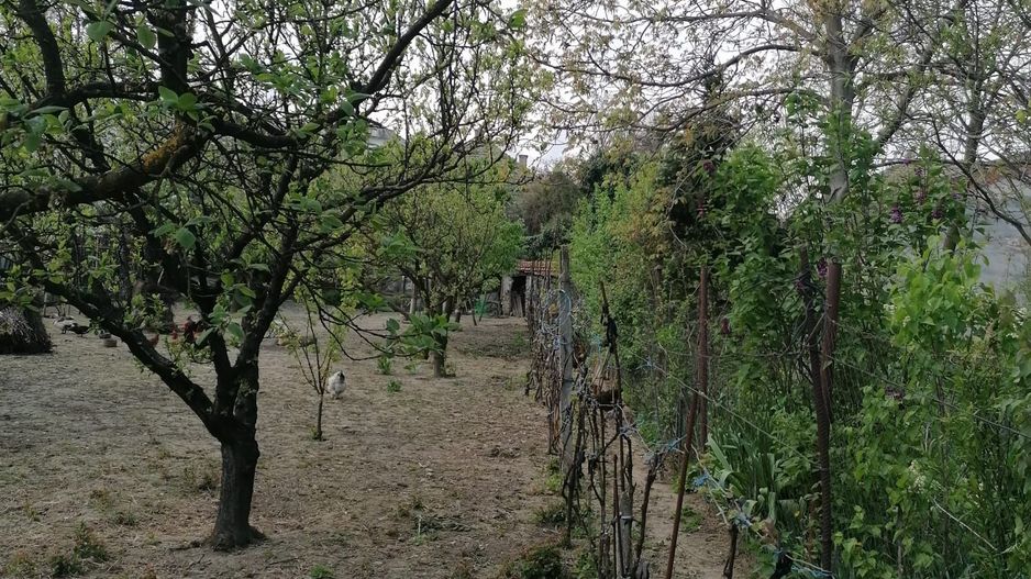 Ag EUROPA vinde casa 6 cam teren 11 ari în zona 14 Mai. - Poză 5