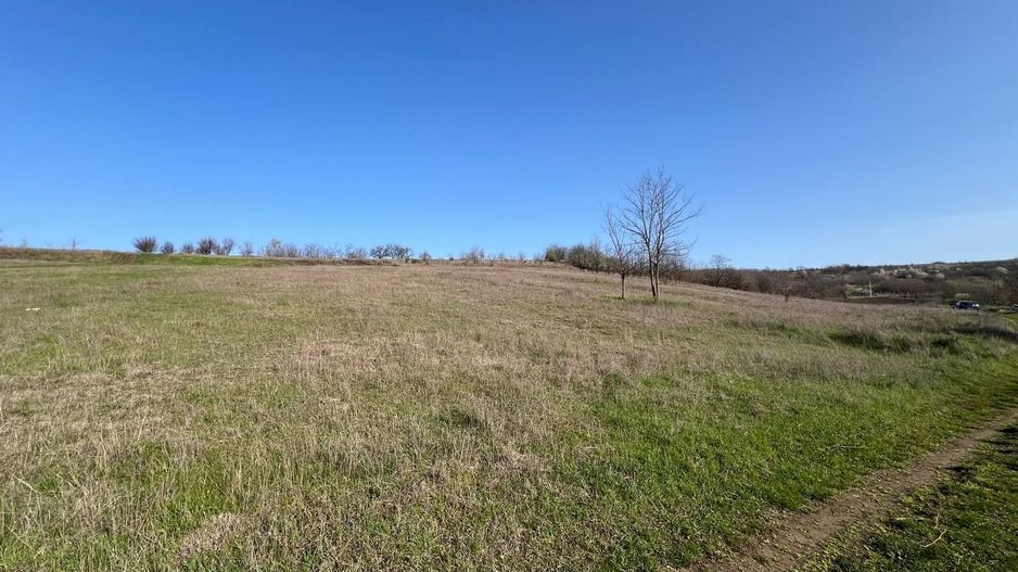 Teren pentru grădină / investiție – 14,86 ari în Ghidighici, zonă liniștită și ecologică - Poză 4