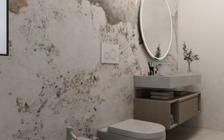 Duplex despartit prin garaj- Dumbravita - Poză 24