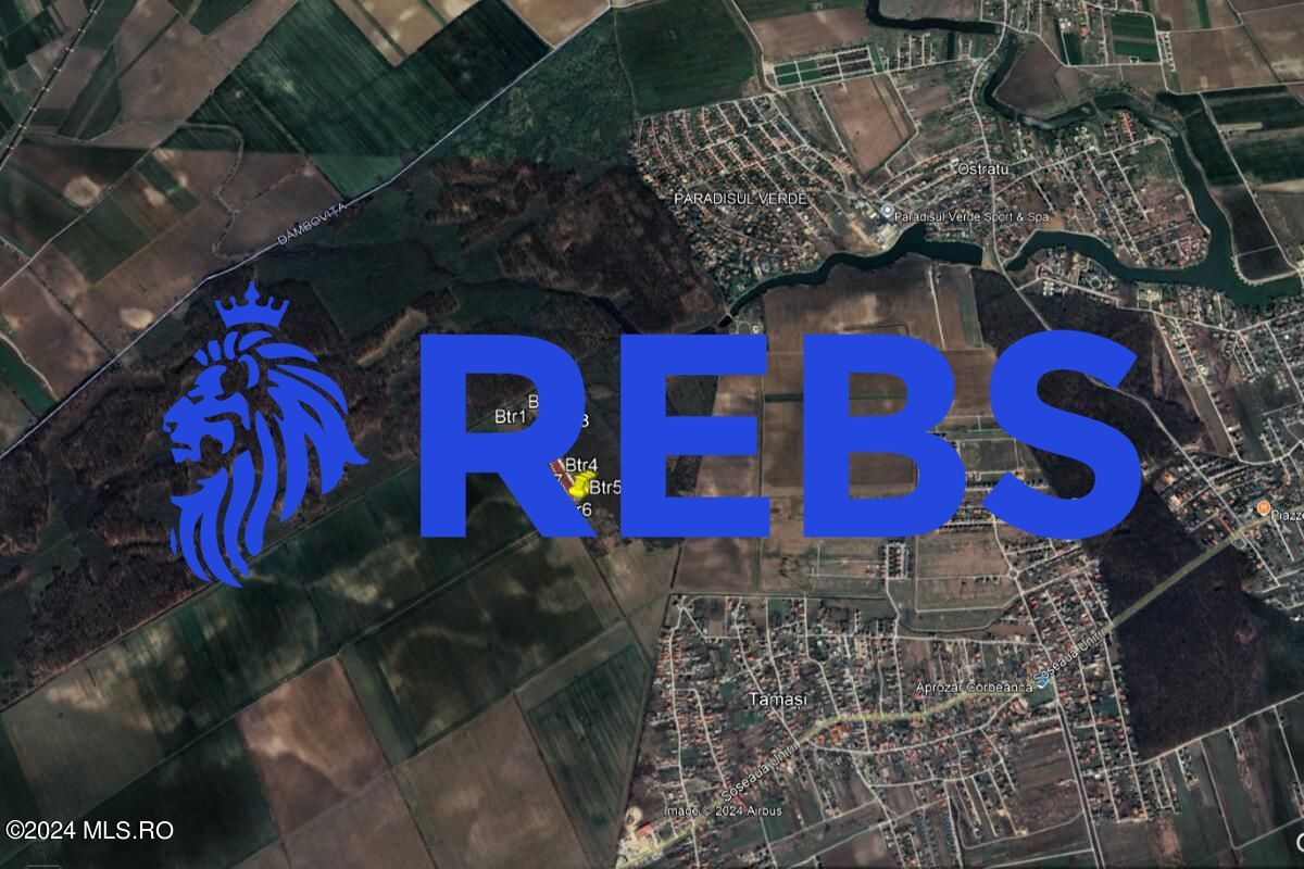 Tamasi, langa padure, 12.824 mp, deschidere 45 ml, teren cu potential - Poză 5