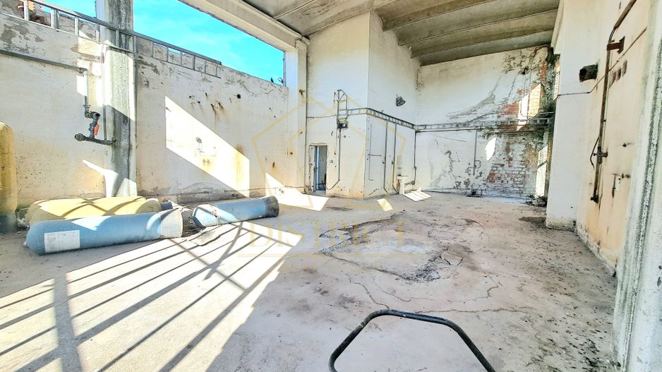 Hala pentru depozitare, productie SAD I Freidorf - Poză 1