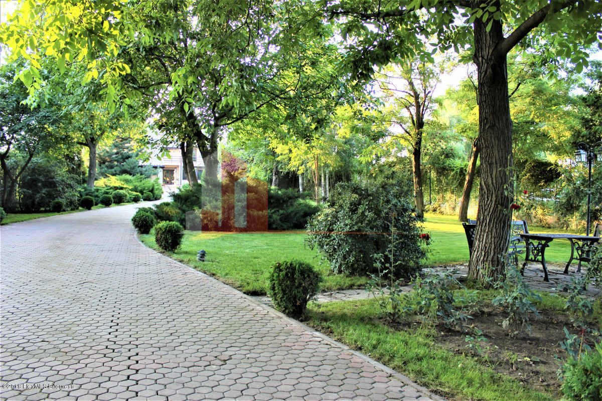 Vila impresionanta in Buftea - Poză 5