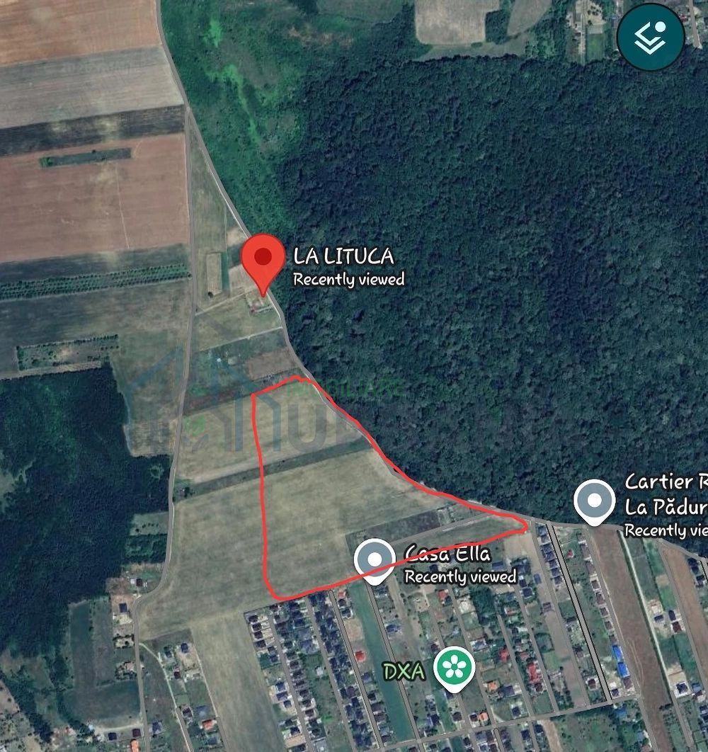 Teren extravilan de vanzare in zona Padurea Uricani, Valea Ursului, Iasi - Poză 1