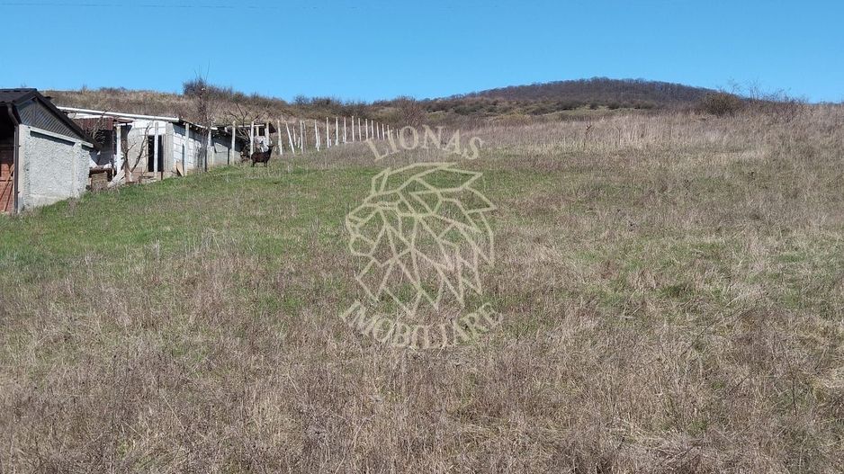 Teren intravilan 3719mp cu utilitati-deschidere la sosea -Crainimat - Poză 2