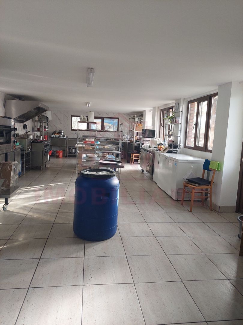 CASĂ\VILĂ DE VÂNZARE \COM. OBREJA\SAT IAZ\CARAȘ-SEVERIN - Poză 20