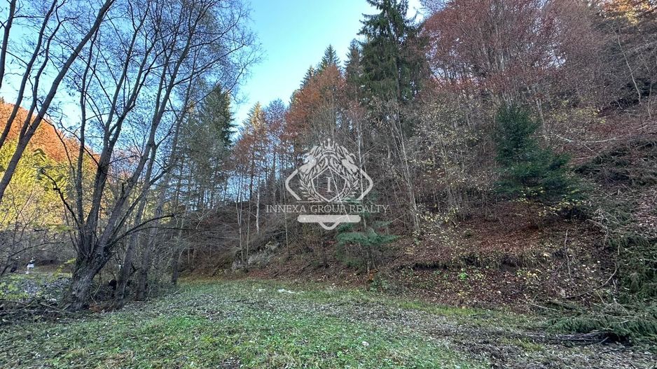 Teren 2.882 mp – oportunitate investitie - Cheile Dâmbovicioarei - Poză 17