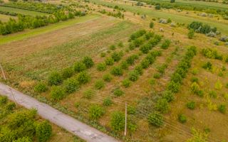 Vânzare, teren, 50 ari, str. Tineretului, Trușeni - Poză 5