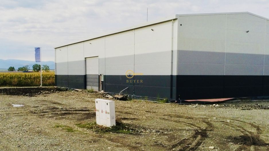 Hala industriala, parc nou industrial, Vest- 528 utili- Teren 1336mp - Poză 3