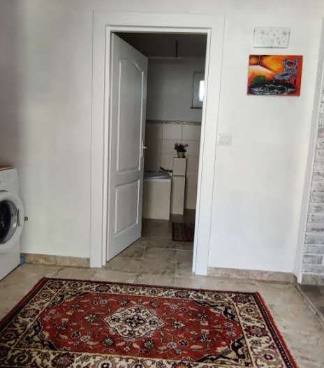 CASA RECAS CU 1438 MP TEREN - Poză 17