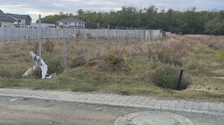 Teren intravilan de vânzare – Jilava, Str. Libertății | 590 mp | 22 ml - Poză 6