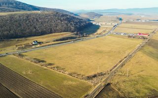 16.000 mp, teren intravilan, construibil, conditii apreciabile, Codlea Brasov - Poză 6