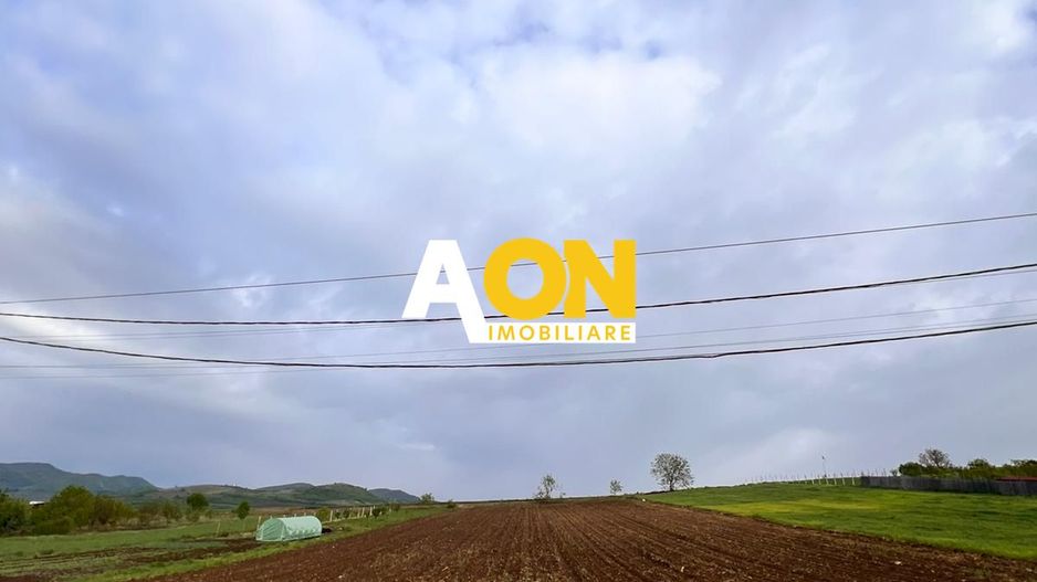 Teren 1400 mp, deschidere 12 metri, Bucerdea Vinoasa - Poză 1