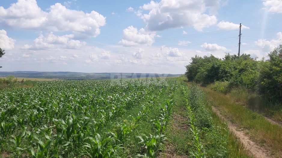 Teren cu spații industriale sau depozitare - Poză 4