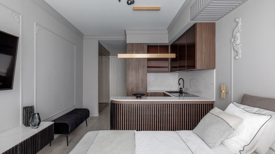 studio| Parc Herastrau | Win | Soseaua Nordului | Aviatiei - Poză 7