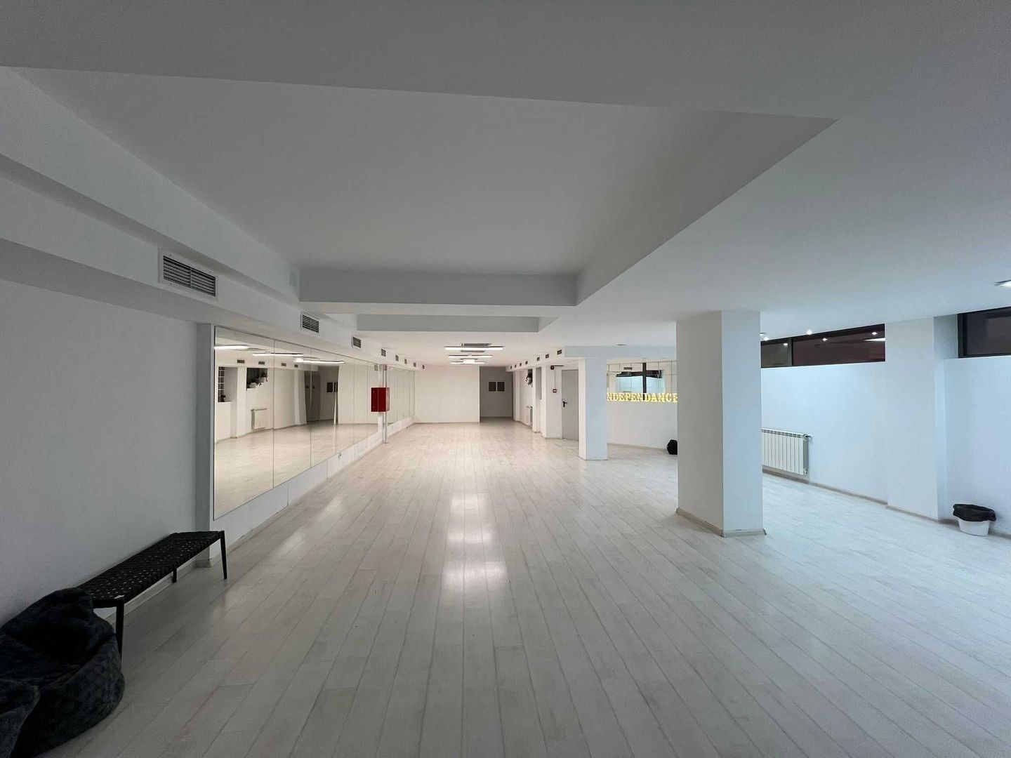 220 m2- studio dans de închiriat Sector 4, București - Poză 5