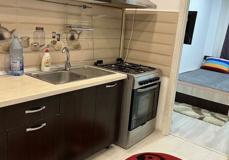 GARSONIERA COCHETA ZONA SEBASTIAN - Poză 6