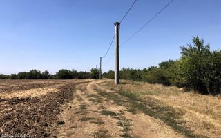 Moara Vlasiei - langa Padurea Biglaru, 11.884 mp, deschidere 40 ml - Poză 2