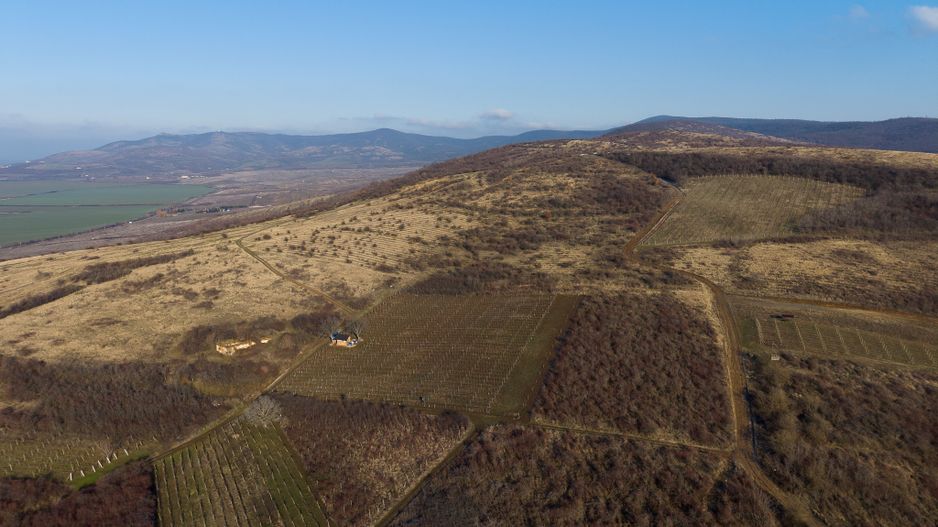 Vita-de-vie Premium  teren de 6800 mp în Covăsinț - Poză 19