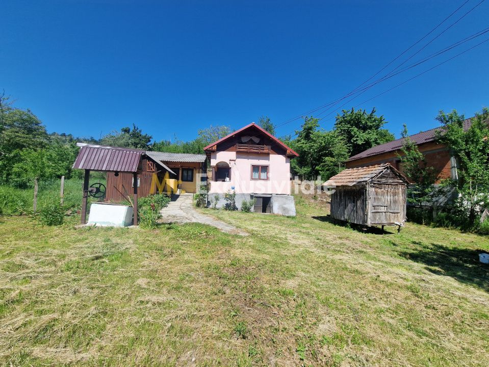 Căsuță autentică românească între două dealuri–colț de liniște  în Botesti, Arge - Poză 1