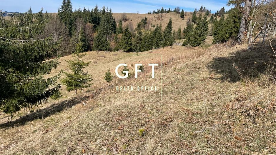 Teren intravilan parcelabil- 17703 mp,Colibita - Poză 8