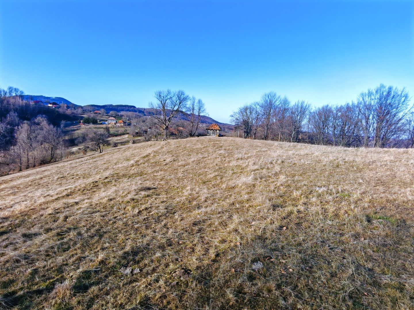 2,2 Ha TEREN INTRAVILAN PANORAMIC, in Muntii Apuseni NEGRENI – CLUJ - Poză 5