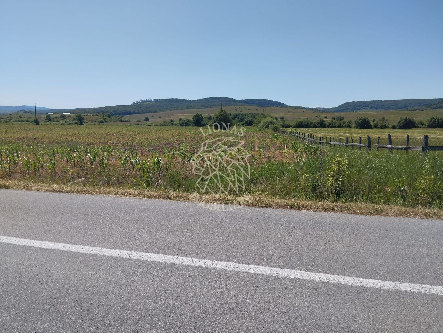 Teren 1200 mp cu utilitati-panoramic-Livezile - Poză 1