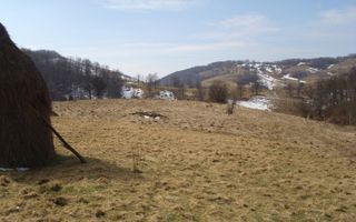 Teren intravilan Rosia, 12 000 mp, cu proiect aprobat. Comision 0. - Poză 7