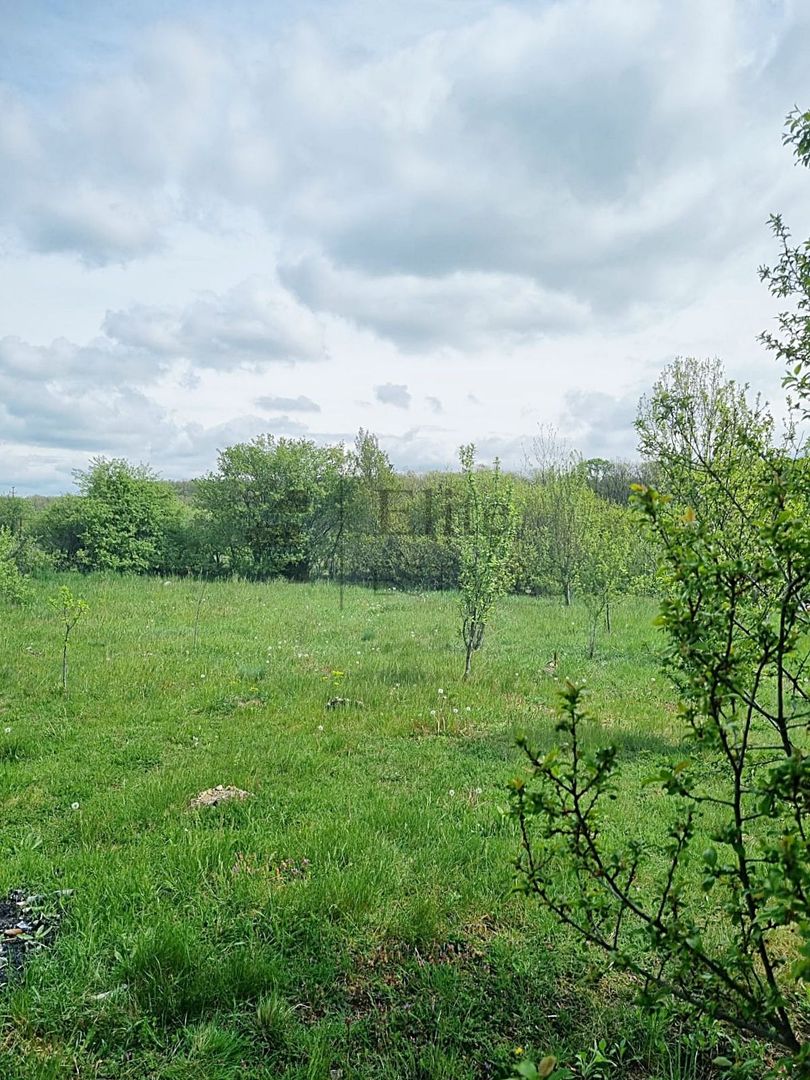 Casa cu teren 1439 mp de vanzare in Gurbediu, Bihor - Poză 10