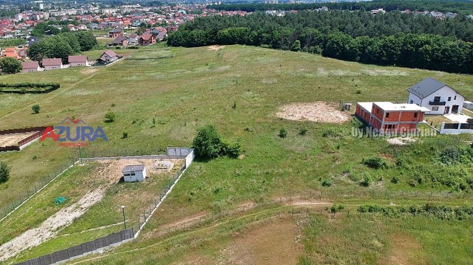 Vanzare teren 1020 mp, intravilan, Labusesti - Poză 7