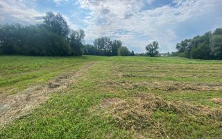 Teren Extravilan | 23 Ari | Satu Mare - Poză 1