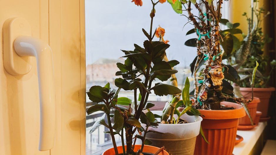 VANDUT - 2 camere - Telegrafului - Poză 31