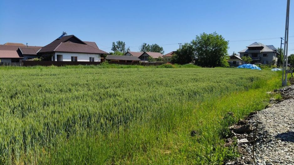 Teren 10.294 mp de vânzare Târgu Jiu | Intravilan + Extravilan | Utilități - Poză 6