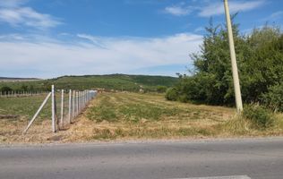 Teren intravilan 1350 mp cu uitlitati-pretabil casa, investitie-Jelna