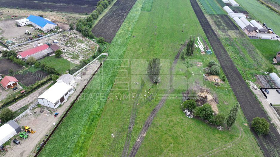 Teren 2648 mp | Strada Francei | Ideal hale sau investitie - Poză 13