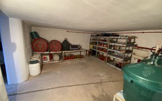 Casa individuala | Curte | Pivnita | 150 MPU | Turnisor - Poză 10