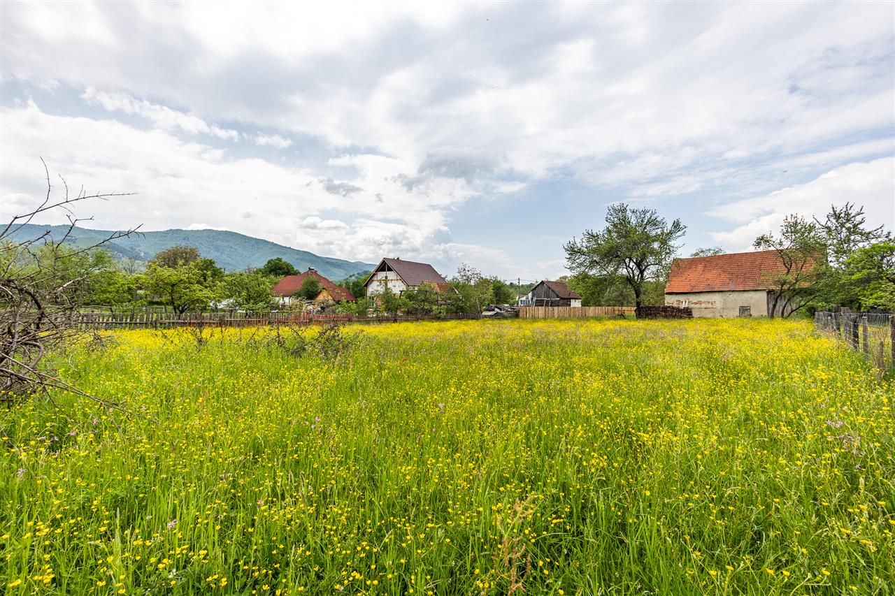 Casa traditionala + 8.500 mp teren, intravilan, Sinca Noua, Brasov - Poză 16