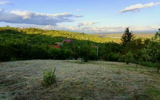 Teren Intravilan Podgoria - Poză 1