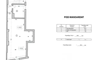De închiriat: casă 9 camere-Vasile Lascăr-Mihai Eminescu-Bd.Dacia - Poză 14