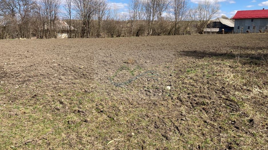 Teren Intravilan 3200 mp de vânzare - Poză 11