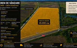 TEREN 45.000 MP | PUZ APROBAT | 156 M FRONT DN11 | PREJMER - BRASOV - Poză 2
