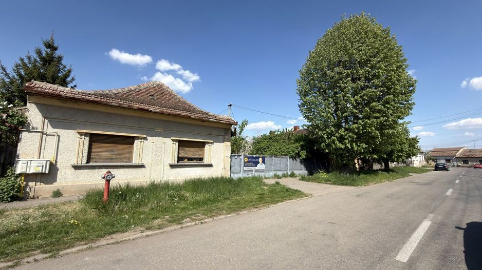 Oportunitate de investiție-Vânzare Teren 3.442 MP cu casă -Albinelor 57-Carei - Poză 1