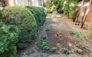 Apartament 3 camere de 98 mp cu curte de 150 mp, Andrei Muresanu - Poză 27