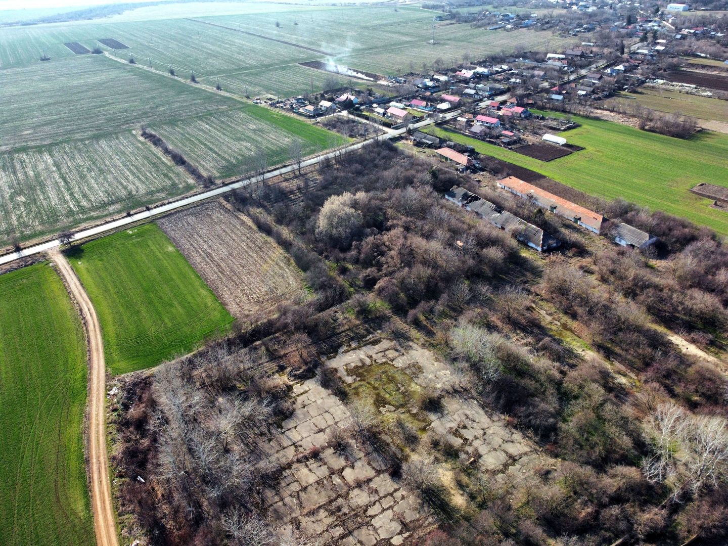Ferma si livada de meri in judetul Ilfov - Poză 4