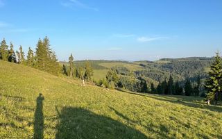 50 hectare teren | Moldova-Sulita | Potential turistic si agricol - Poză 4