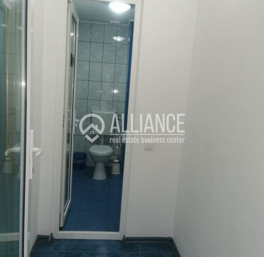 STADIONUL FARUL(COD03) - Vila cocheta si curte frumoasa ! - Poză 8