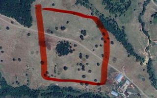 Teren extravilan de vânzare, Vladeni, Hamaradea, 10.000 mp - Poză 1